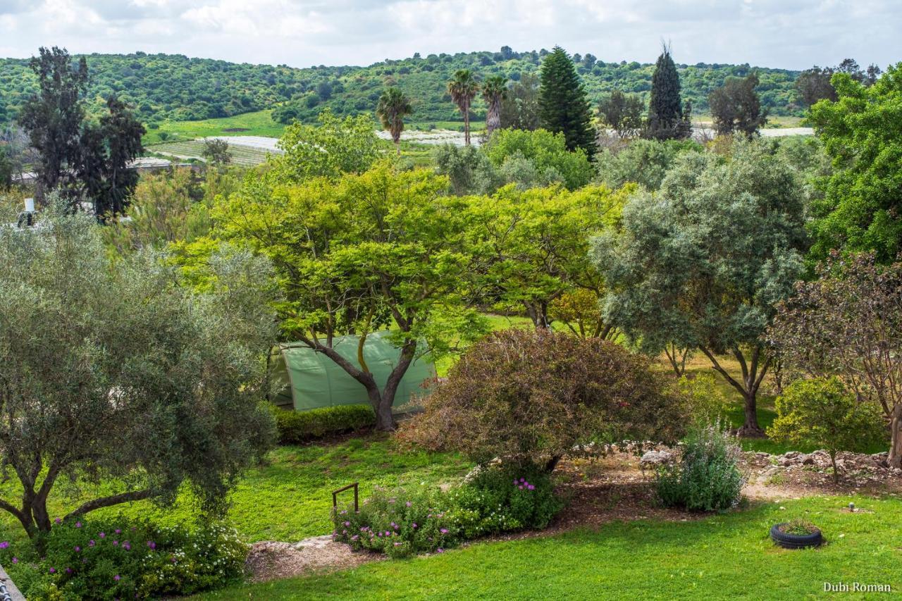 Amikam Meshek 81 משק 81 עמיקם Villa Eksteriør billede