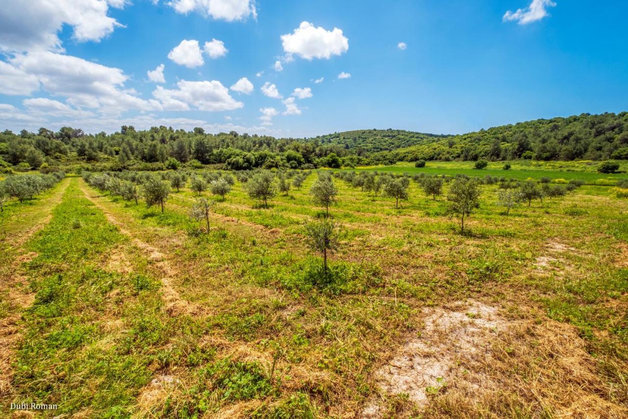 Amikam Meshek 81 משק 81 עמיקם Villa Eksteriør billede
