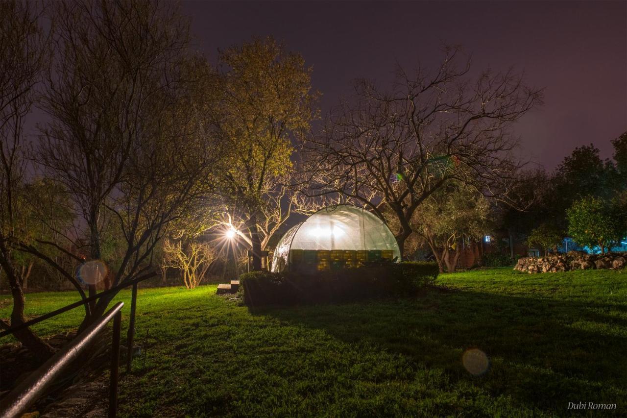 Amikam Meshek 81 משק 81 עמיקם Villa Eksteriør billede