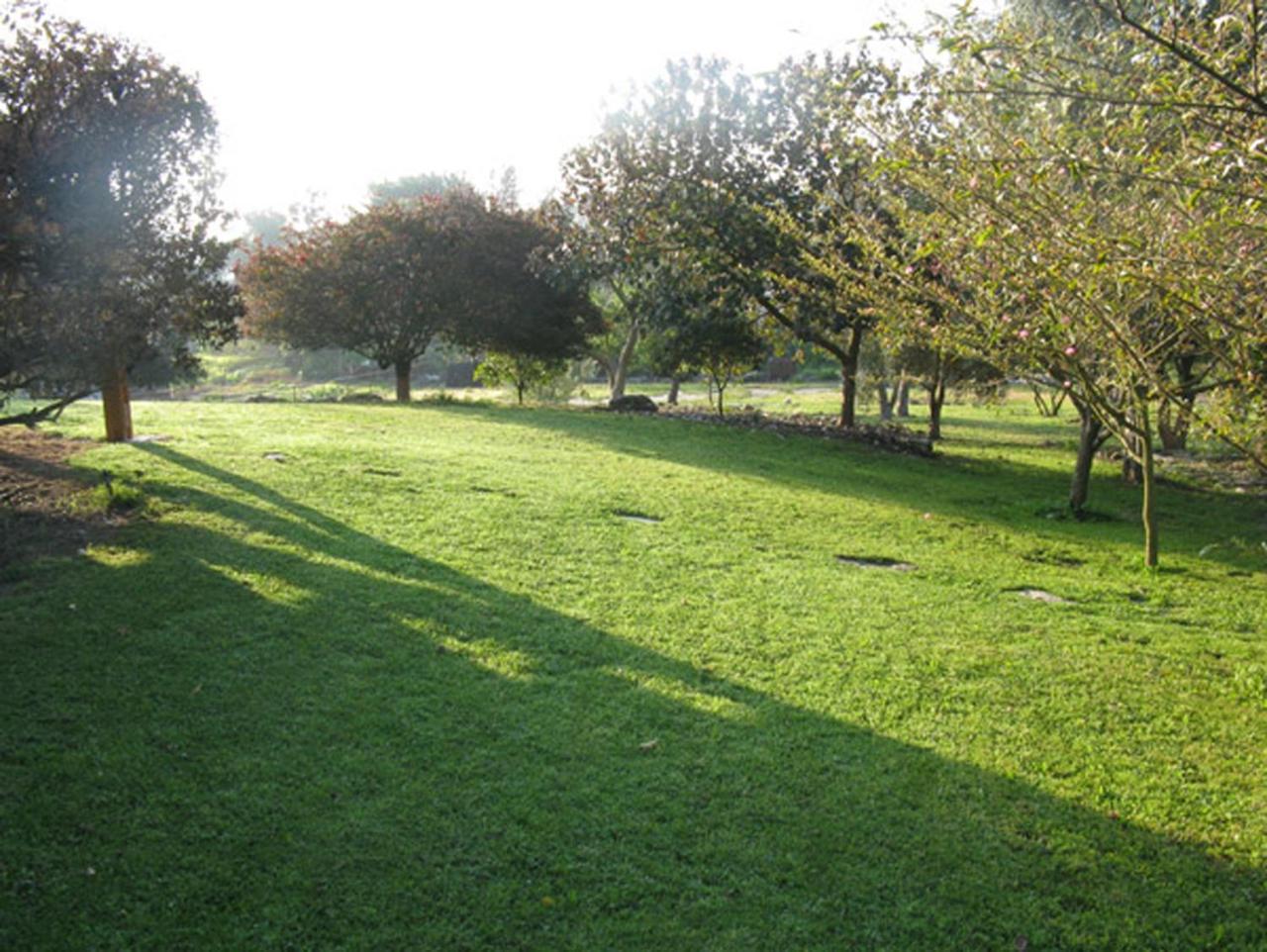 Amikam Meshek 81 משק 81 עמיקם Villa Eksteriør billede